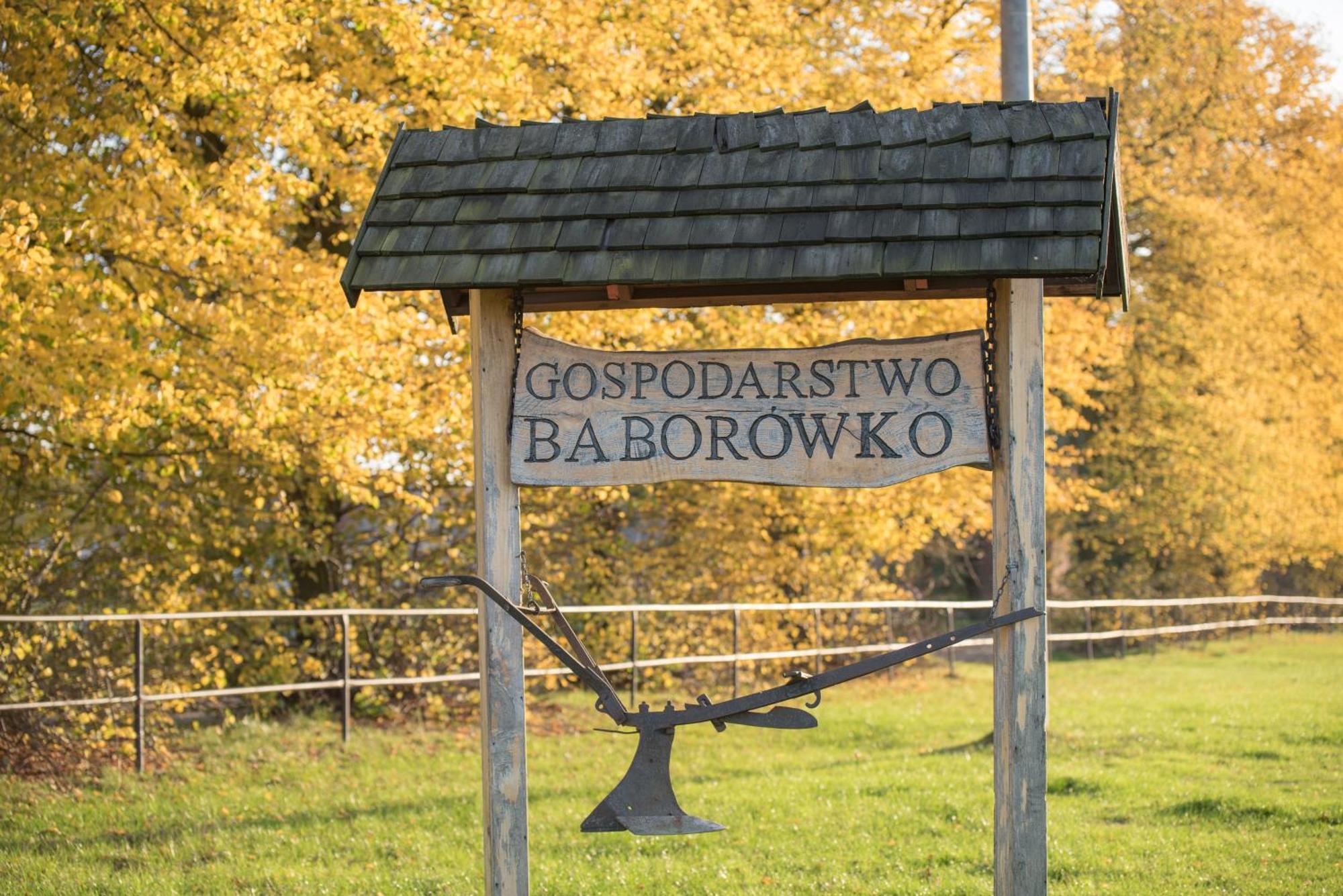 Palac Baborowko Szamotuły Exteriér fotografie